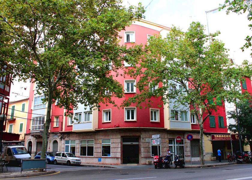 Amic Colon